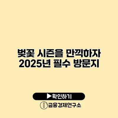 벚꽃 시즌을 만끽하자 2025년 필수 방문지