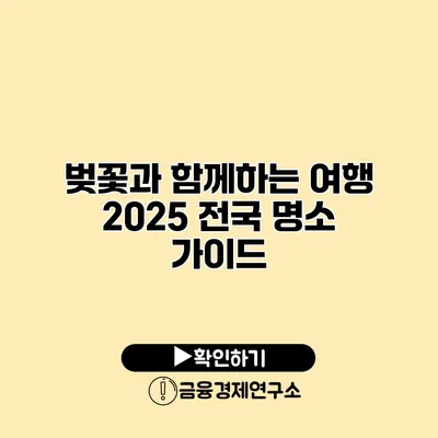 벚꽃과 함께하는 여행 2025 전국 명소 가이드