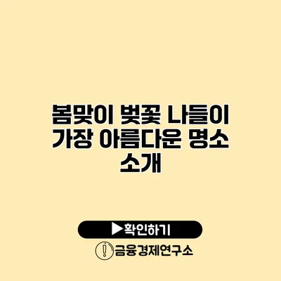 봄맞이 벚꽃 나들이 가장 아름다운 명소 소개