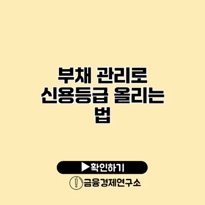 부채 관리로 신용등급 올리는 법