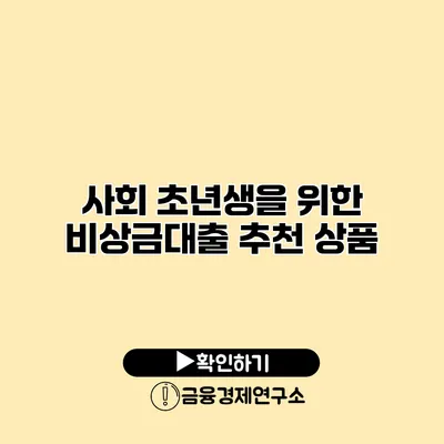 사회 초년생을 위한 비상금대출 추천 상품