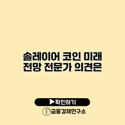 솔레이어 코인 미래 전망 전문가 의견은?