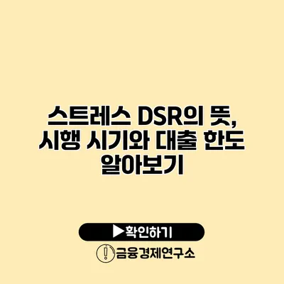 스트레스 DSR의 뜻, 시행 시기와 대출 한도 알아보기
