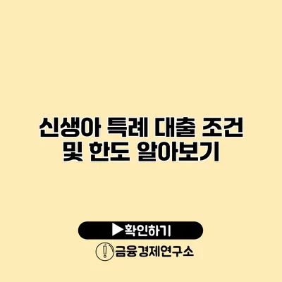 신생아 특례 대출 조건 및 한도 알아보기