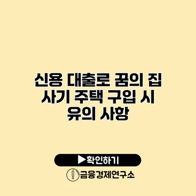 신용 대출로 꿈의 집 사기 주택 구입 시 유의 사항