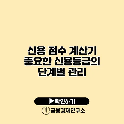 신용 점수 계산기 중요한 신용등급의 단계별 관리