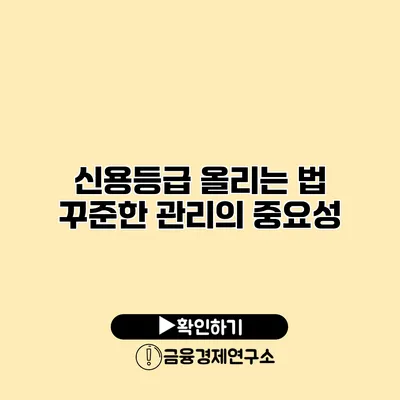 신용등급 올리는 법 꾸준한 관리의 중요성