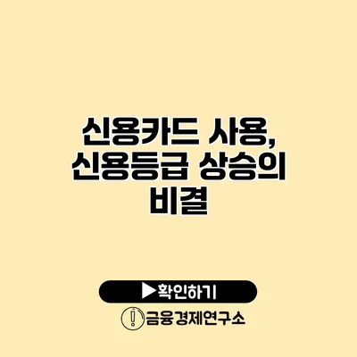 신용카드 사용, 신용등급 상승의 비결