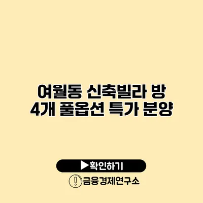 여월동 신축빌라 방 4개 풀옵션 특가 분양