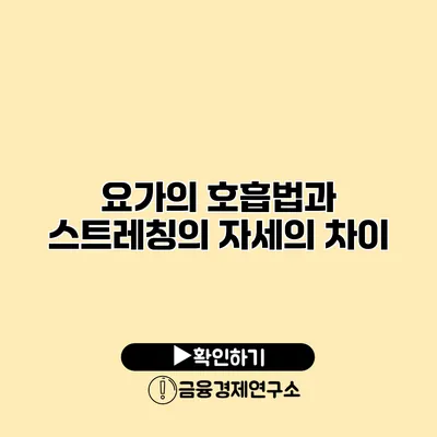요가의 호흡법과 스트레칭의 자세의 차이