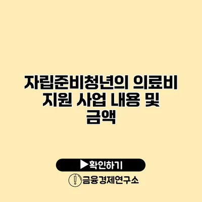 자립준비청년의 의료비 지원 사업 내용 및 금액