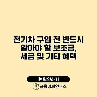 전기차 구입 전 반드시 알아야 할 보조금, 세금 및 기타 혜택