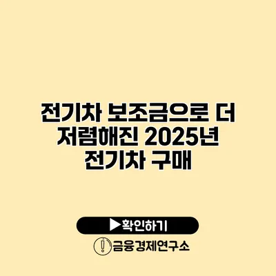 전기차 보조금으로 더 저렴해진 2025년 전기차 구매