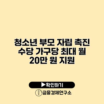 청소년 부모 자립 촉진 수당 가구당 최대 월 20만 원 지원