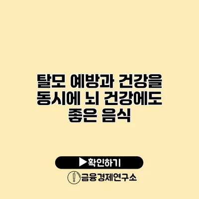 탈모 예방과 건강을 동시에 뇌 건강에도 좋은 음식