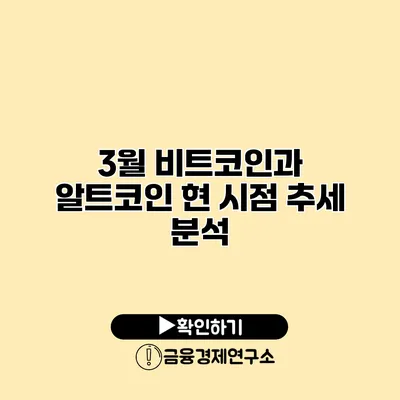 3월 비트코인과 알트코인 현 시점 추세 분석