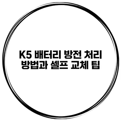 K5 배터리 방전 처리 방법과 셀프 교체 팁