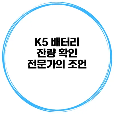 K5 배터리 잔량 확인 전문가의 조언