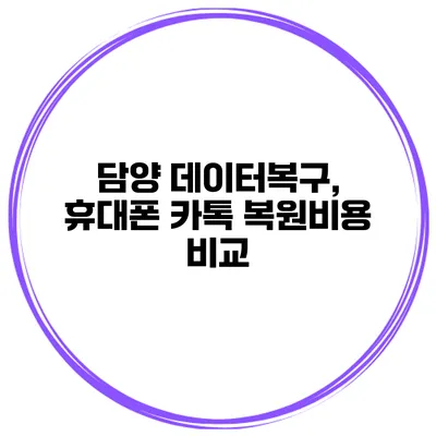 담양 데이터복구, 휴대폰 카톡 복원비용 비교