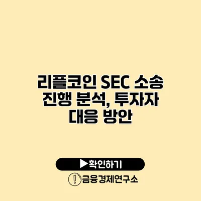 리플코인 SEC 소송 진행 분석, 투자자 대응 방안