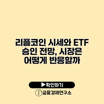 리플코인 시세와 ETF 승인 전망, 시장은 어떻게 반응할까?