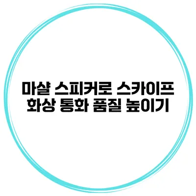 마샬 스피커로 스카이프 화상 통화 품질 높이기