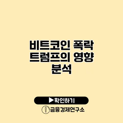 비트코인 폭락 트럼프의 영향 분석