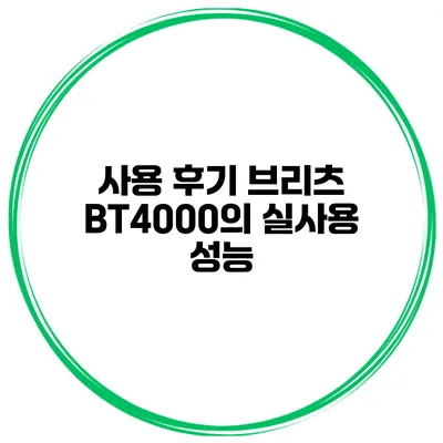 사용 후기 브리츠 BT4000의 실사용 성능