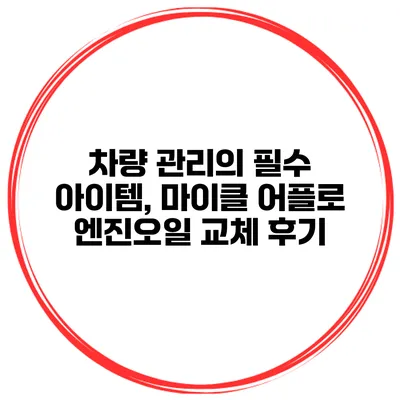 차량 관리의 필수 아이템, 마이클 어플로 엔진오일 교체 후기