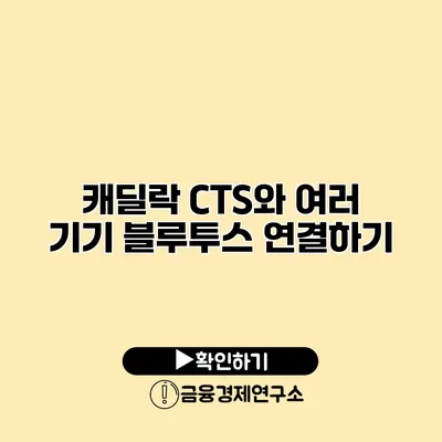 캐딜락 CTS와 여러 기기 블루투스 연결하기